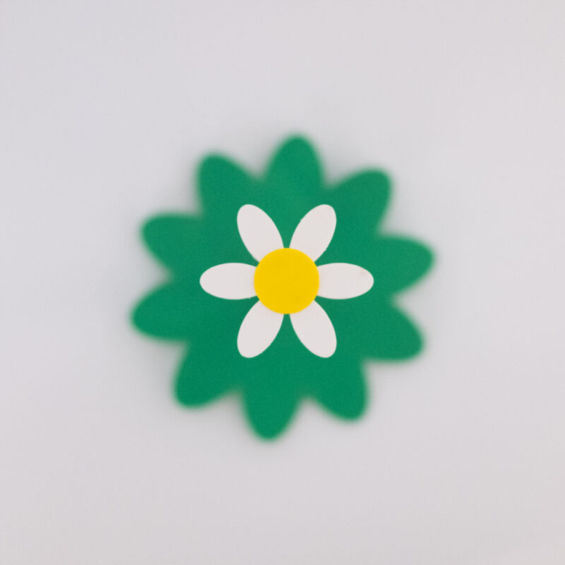 Daisy Cup Collector featured image