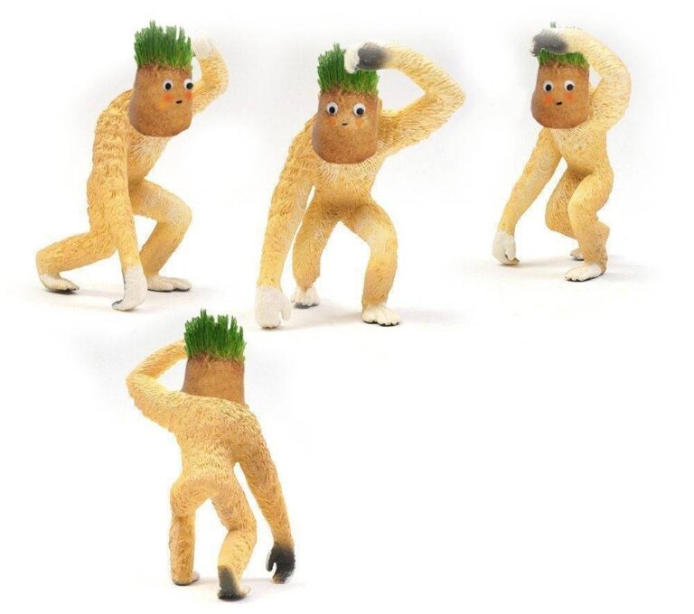 Grassman House featured image